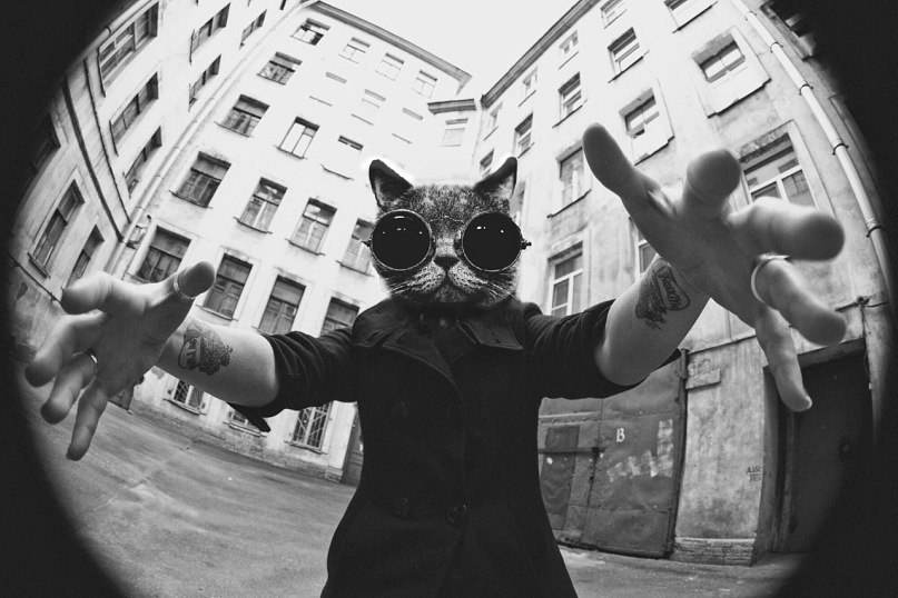 Дмитрий Шаев ♥ | Москва