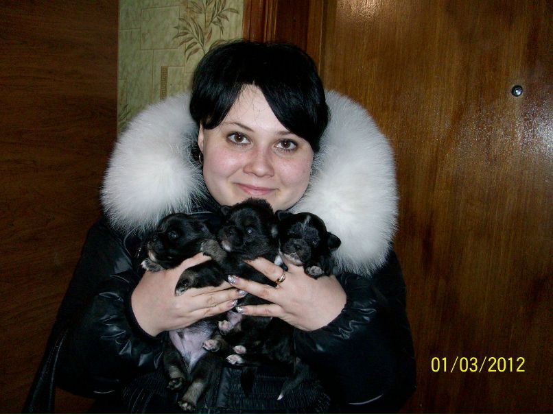 Елена Черных | 