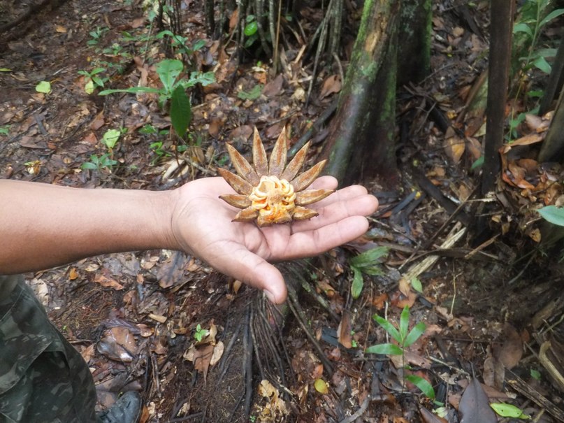 Булат Беккин | Москва