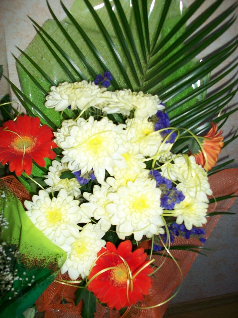 Елена Самойлова | Калининград