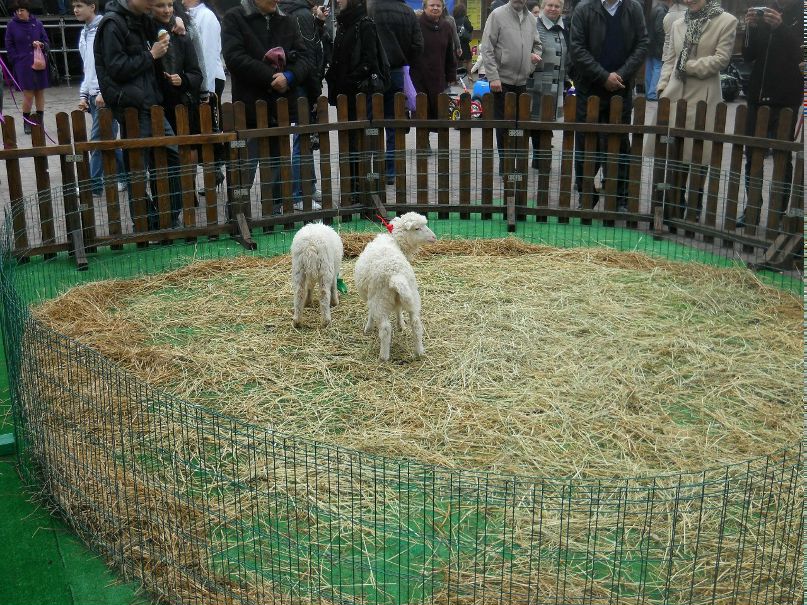 Назар Косопуд Go pro | Nürtingen