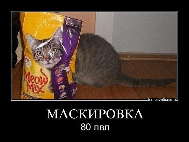 Денис Кузьмин | Gdynia