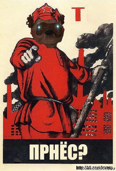 Дмитрий Легоньков | Пермь