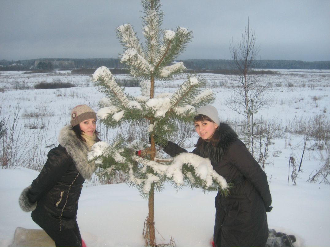 Алёна Покутняя | 