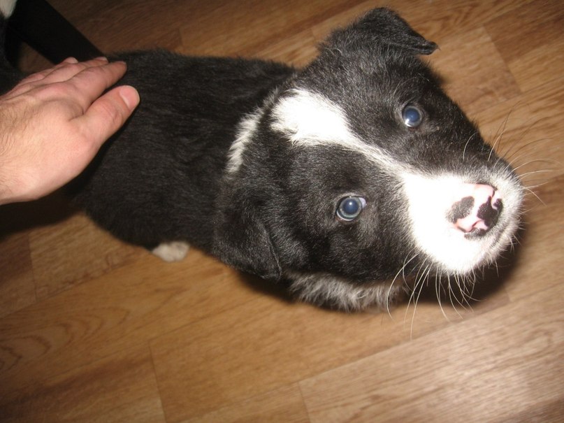 Лилия Урамова | Казань