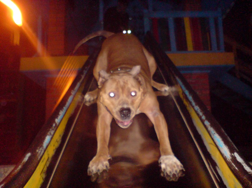 Юрій Гнатюк | 