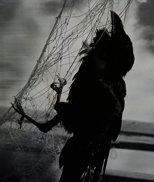 Денис Титов | Горловка