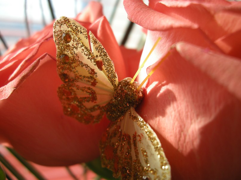 Светик Shaiybakova | Санкт-Петербург