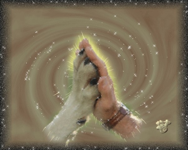 Нурико Сан ˙·٠•●๑۩ ۩๑●•٠· | 