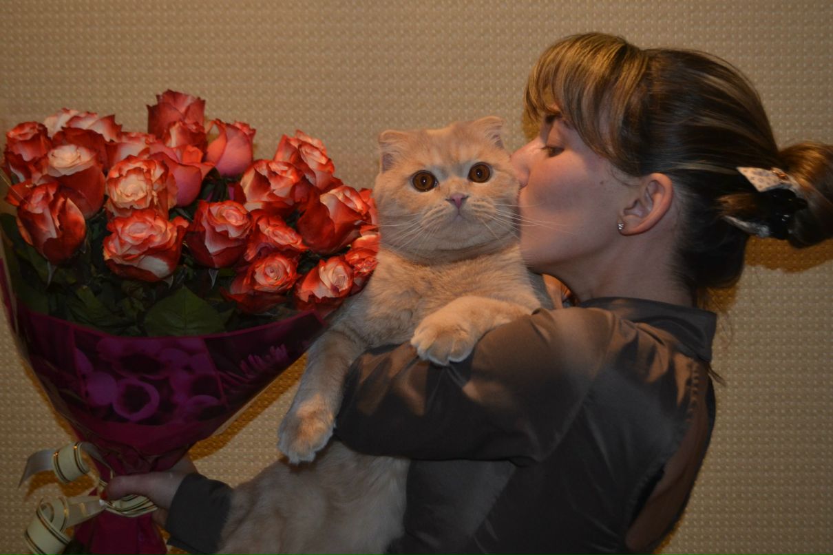 Валентинка Корвинг ~ВуА-ЛЯ~ | Санкт-Петербург