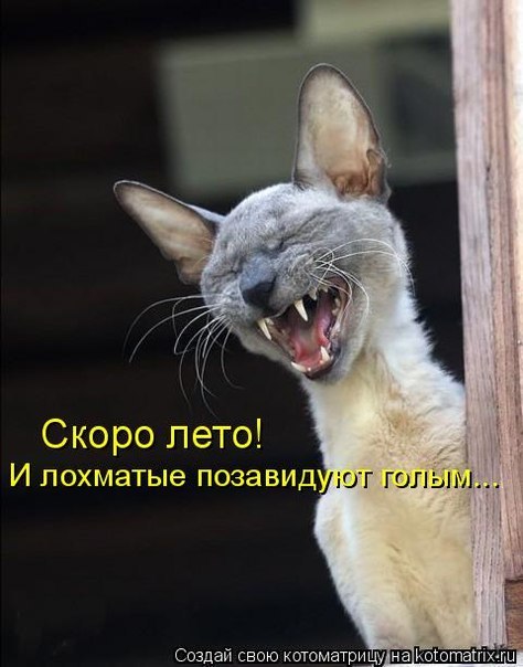 Наталья Долгова | Москва