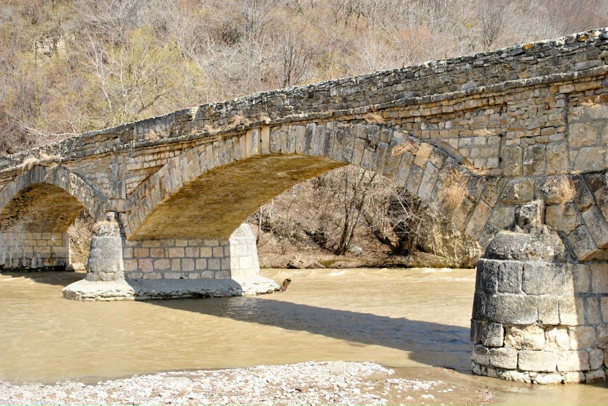 Дмитрий Кайдашов | Ростов-на-Дону