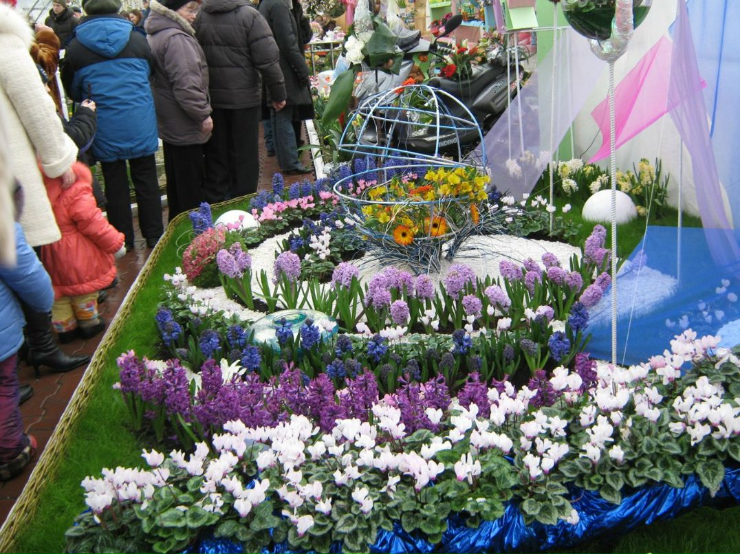 Андрей Михайлов Анатольевич | Ижевск