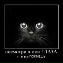№9 Геннадий Приходько 15.08: профиль, фото, статус - ВКонтакте