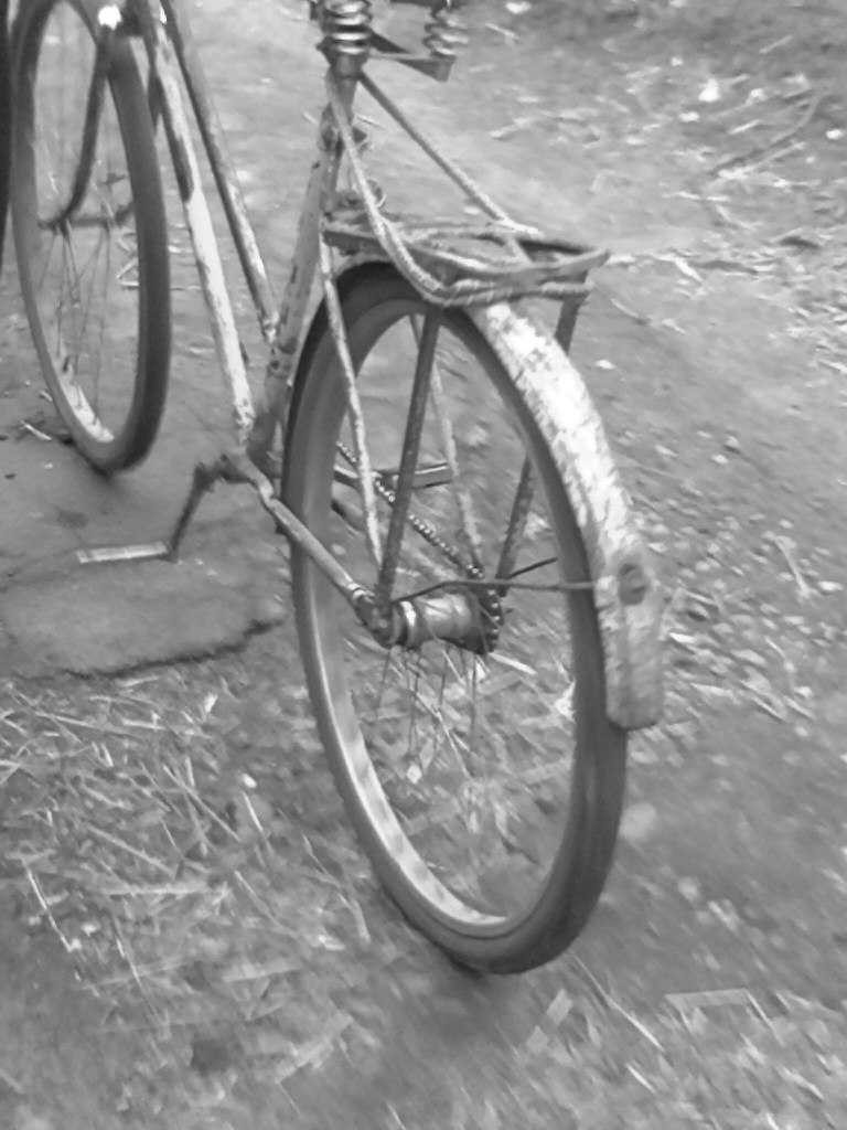 Ксения Нагорная | Чернигов