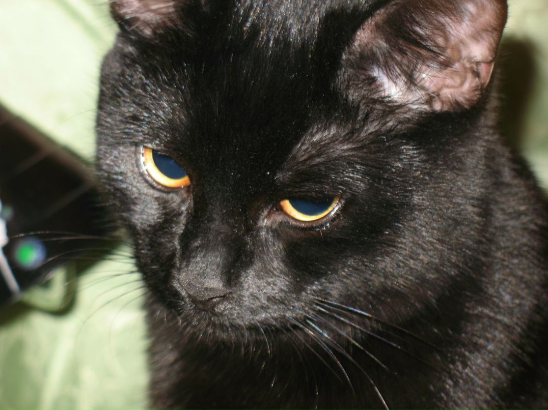 Владимир Востриков | Люберцы