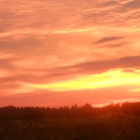 Ирина Кузнецова