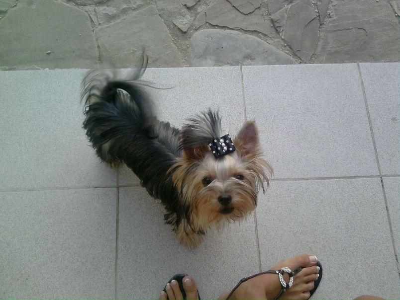 №10, Юлия Демченко, 36 лет, Симферополь №10, Юлия Демченко, 36 лет, Симферополь