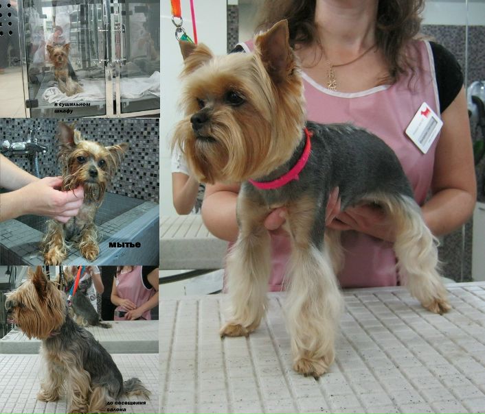 №80, Елена Смирнова, 33 года, Санкт-Петербург №80, Елена Смирнова, 33 года, Санкт-Петербург