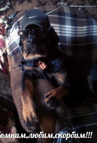 Александр Александрович