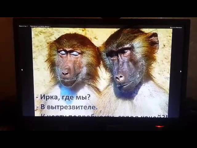 Картинка с обезьянами ирка давай нашу валера