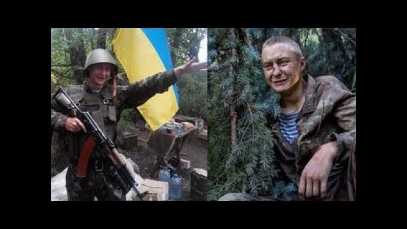 лосось форель, бандеровцы на донбассе фотожабы растения
