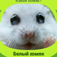 Вещи Жигулёвска Вещи Жигулёвска
