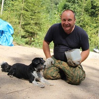 Алексей Кравцов