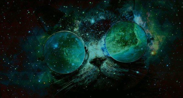 Alex Svoboda, Россия, Сочи