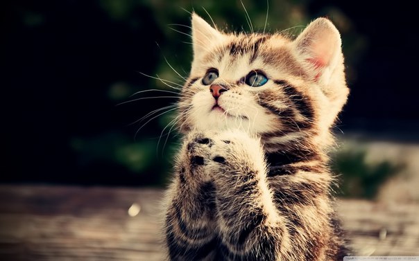 Александра Антонова, Беларусь, Гомель