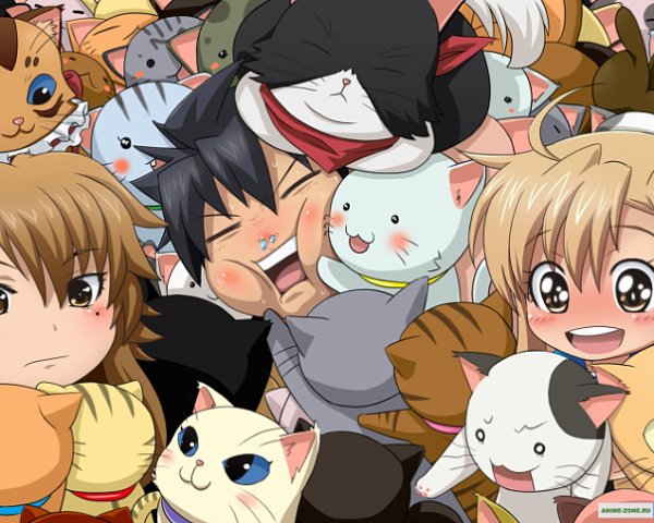 Pics of anime cats