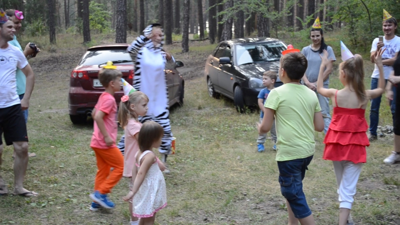 Зебра природа