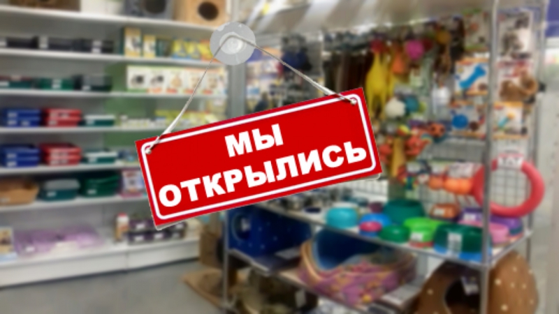 Томас Зоомагазин Владимир Интернет Магазин