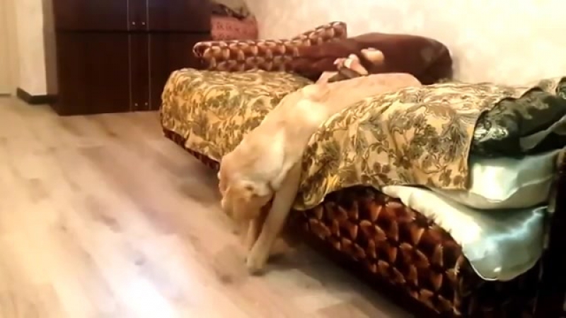 Работка, работочка, работенька