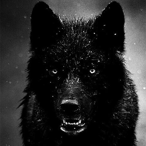 Максим Азаров