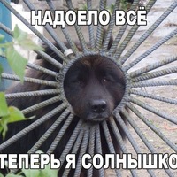 Жанна Яковлева