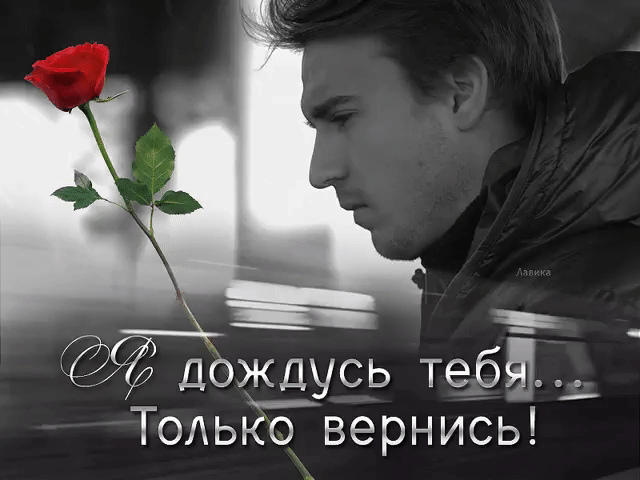 Картинки вернись любимая