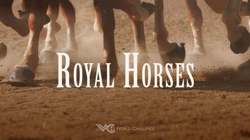 Royal Horses Pastor Carter