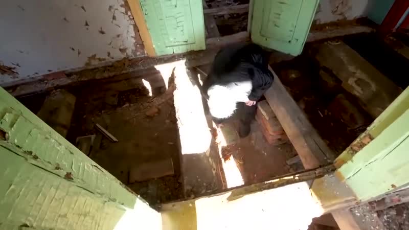 Видео от Olga