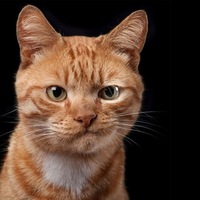 Владислав Викторович