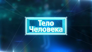 Тело человека  Глаза