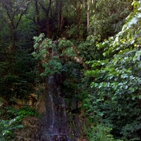 Татьяна Макаренко