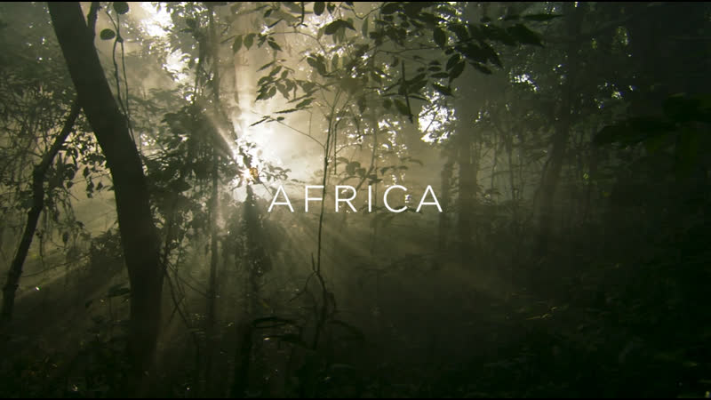 Семь миров, одна планета Африка, 7 серия из 7, 2019, HD