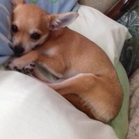 Диана Крылова | Ханты-Мансийск