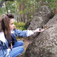 Галюнчик Коваленко