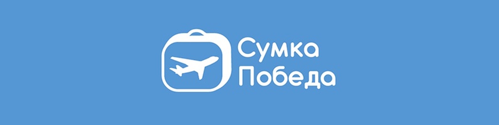Сумка для ручной клади АК Победа 36х30х27 см | Сумка для ручной клади ...