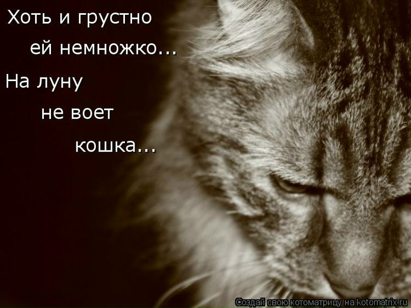 №8, Абду Абдул, Москва, Россия №8, Абду Абдул, Москва, Россия