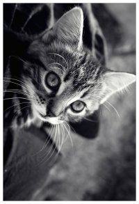 №90, Ирина Южакова №90, Ирина Южакова