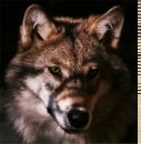 №35 Ренат Мухетдинов 29.04: профиль, фото, статус - ВКонтакте