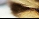 №38, Михаил Войтик, 28 лет, Минск №38, Михаил Войтик, 28 лет, Минск